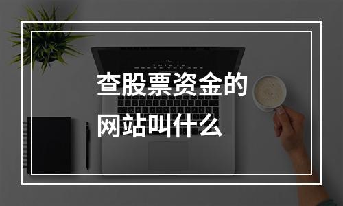 查股票资金的网站叫什么