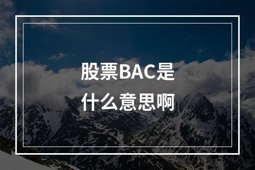 股票BAC是什么意思啊