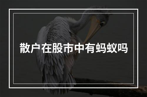 散户在股市中有蚂蚁吗