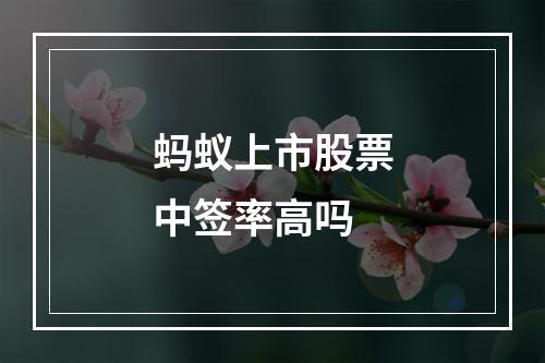 蚂蚁上市股票中签率高吗