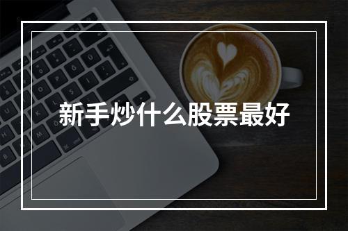 新手炒什么股票最好