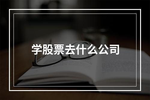 学股票去什么公司