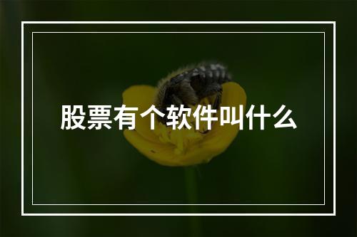 股票有个软件叫什么