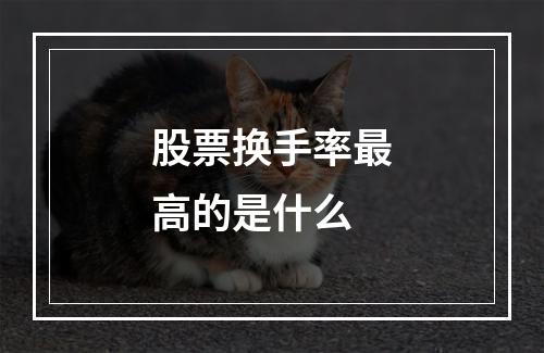 股票换手率最高的是什么