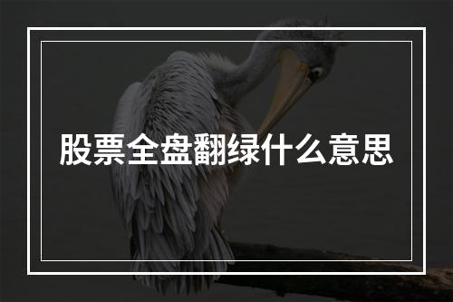 股票全盘翻绿什么意思