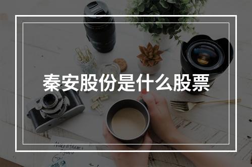 秦安股份是什么股票