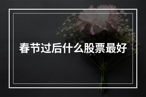 春节过后什么股票最好