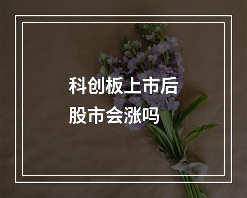 科创板上市后股市会涨吗