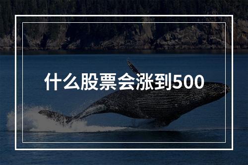 什么股票会涨到500