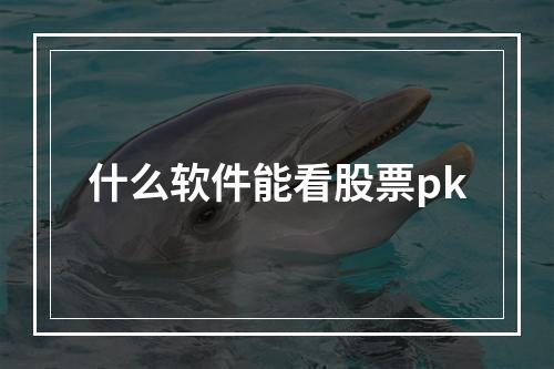 什么软件能看股票pk