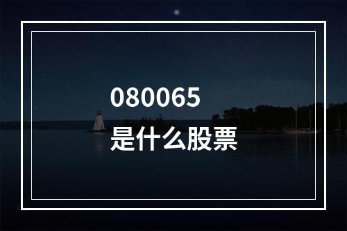 080065是什么股票