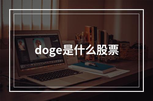 doge是什么股票