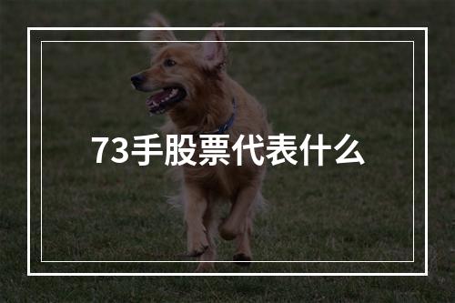 73手股票代表什么