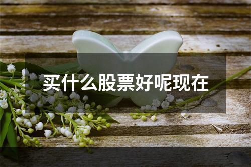 买什么股票好呢现在