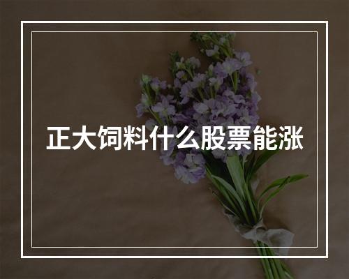 正大饲料什么股票能涨