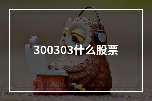 300303什么股票