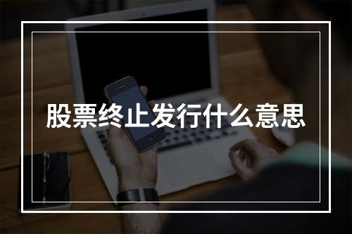 股票终止发行什么意思