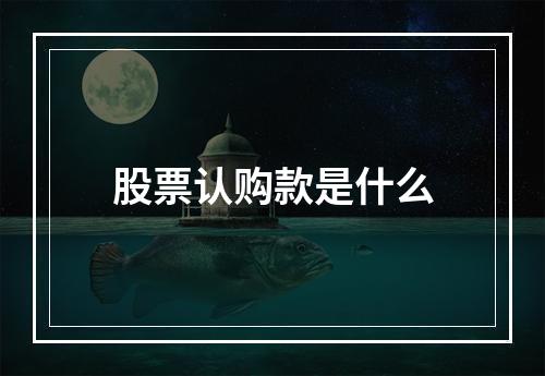 股票认购款是什么