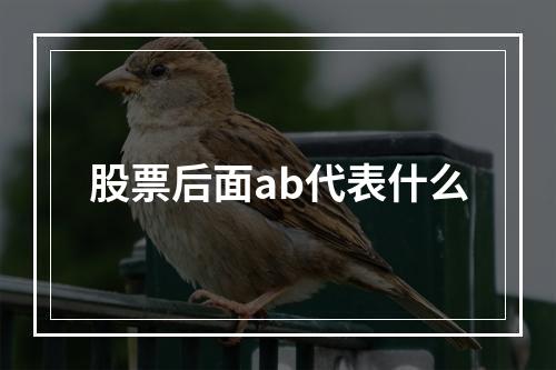 股票后面ab代表什么