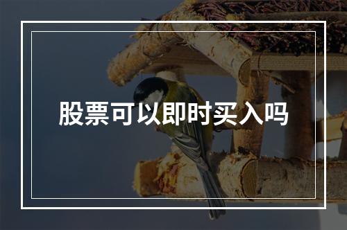 股票可以即时买入吗