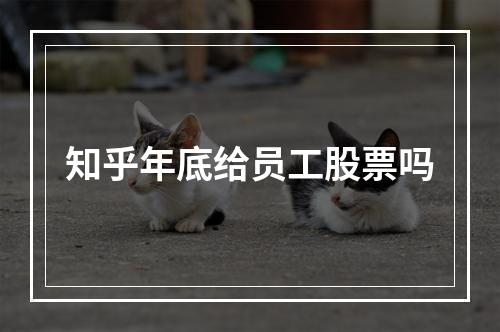 知乎年底给员工股票吗