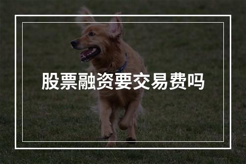 股票融资要交易费吗