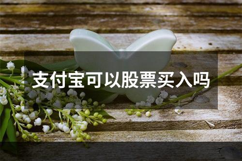 支付宝可以股票买入吗