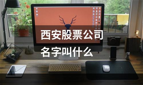 西安股票公司名字叫什么