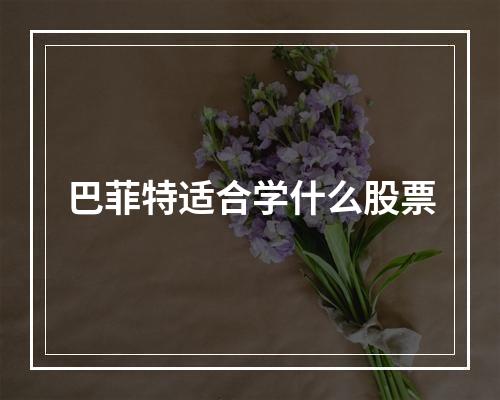 巴菲特适合学什么股票