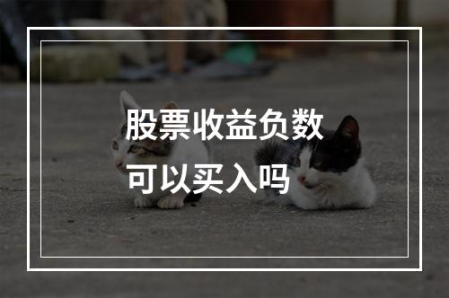 股票收益负数可以买入吗