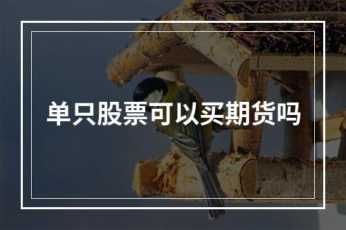 单只股票可以买期货吗