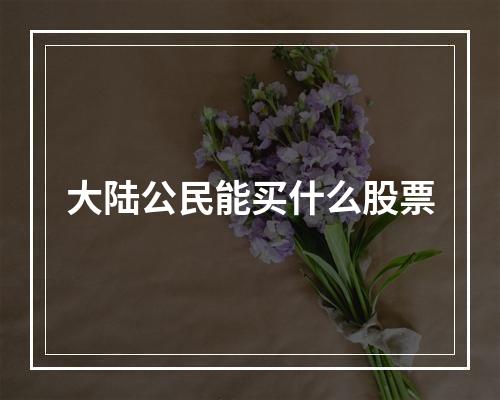 大陆公民能买什么股票