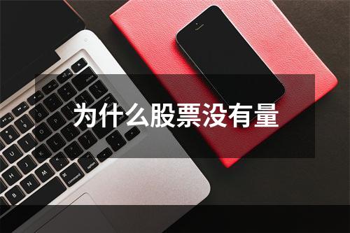 为什么股票没有量