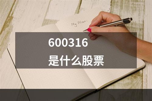 600316是什么股票