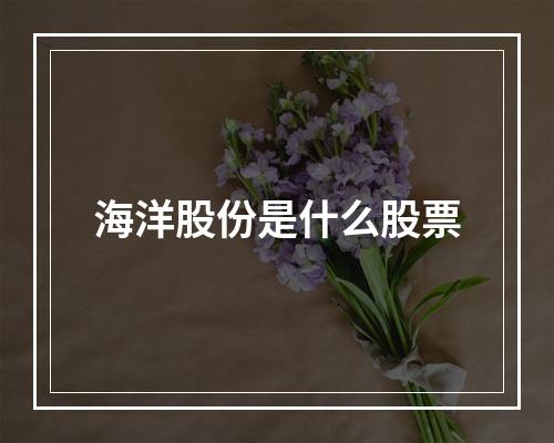 海洋股份是什么股票