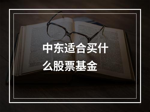 中东适合买什么股票基金