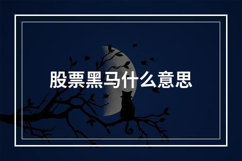 股票黑马什么意思