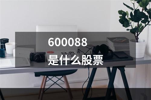 600088是什么股票