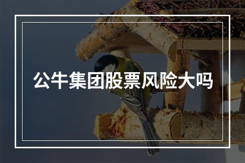 公牛集团股票风险大吗