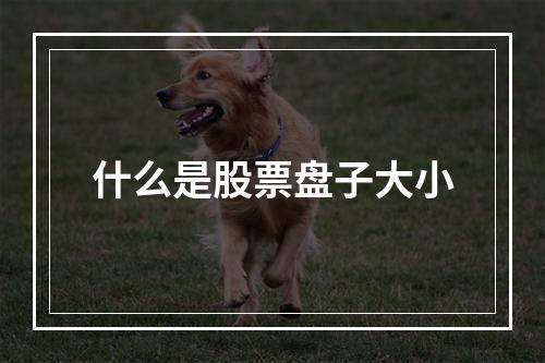 什么是股票盘子大小