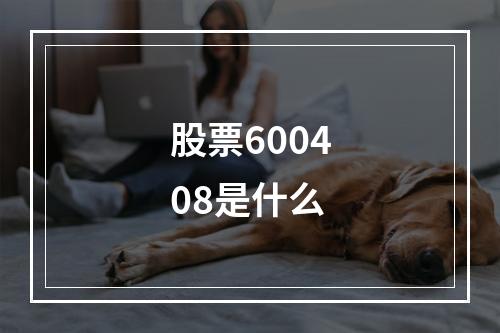 股票600408是什么