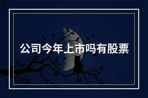 公司今年上市吗有股票