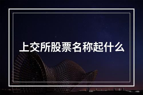 上交所股票名称起什么