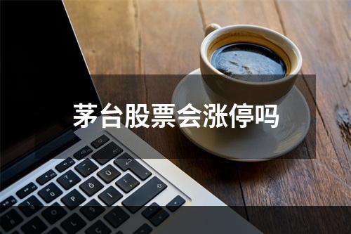 茅台股票会涨停吗