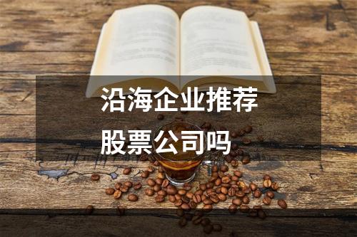 沿海企业推荐股票公司吗