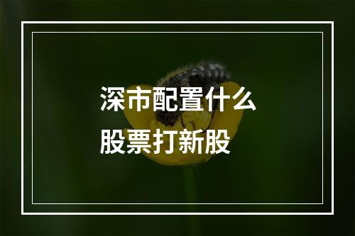 深市配置什么股票打新股