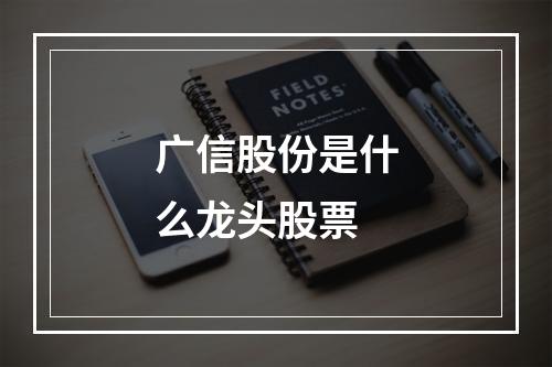 广信股份是什么龙头股票