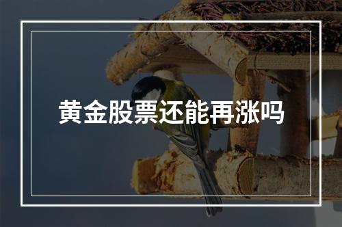 黄金股票还能再涨吗