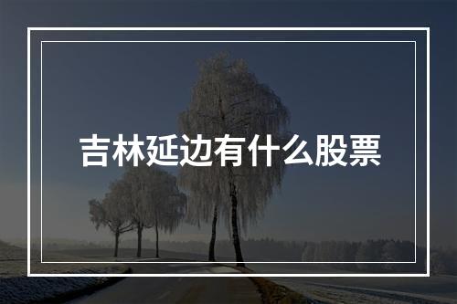 吉林延边有什么股票