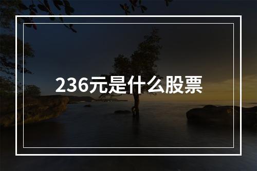 236元是什么股票